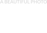 A BEAUTIFUL PHOTO